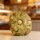 Matcha Macadamia White Chocolate