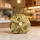 Vegan Matcha Chocolate